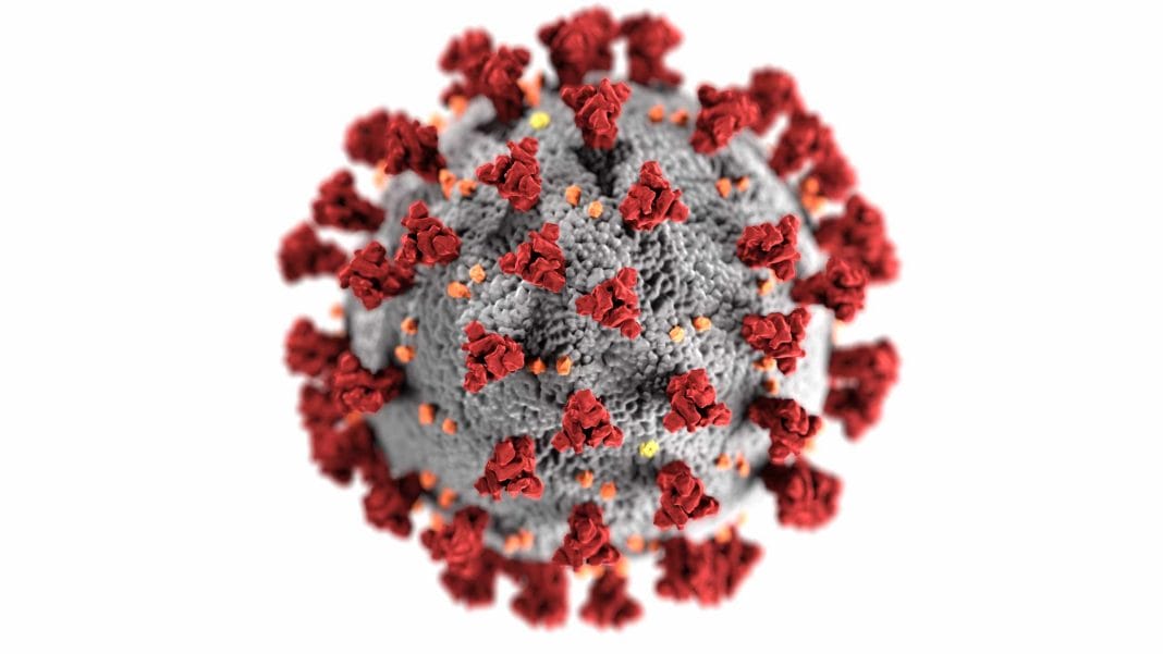 Meine erste Coronavirus-Bilanz. (Bild: unsplash.com/cdc)