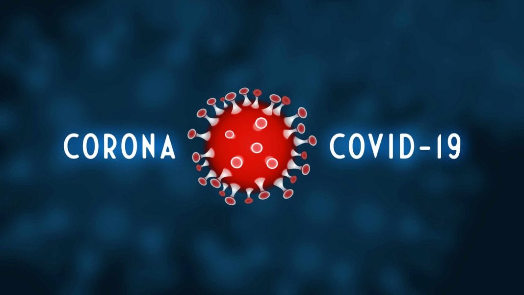 Forschung: Omega-3-Fettsäuren im Blut kann Sterberisiko bei Covid-19 beeinflussen. (Bild: iXimus/Pixabay)