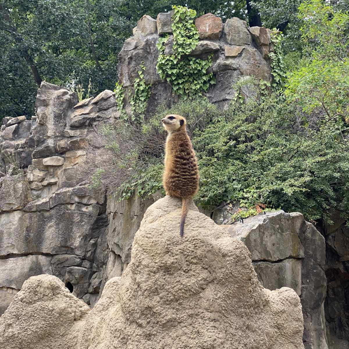 Zoo, Besuch im Berliner Zoo