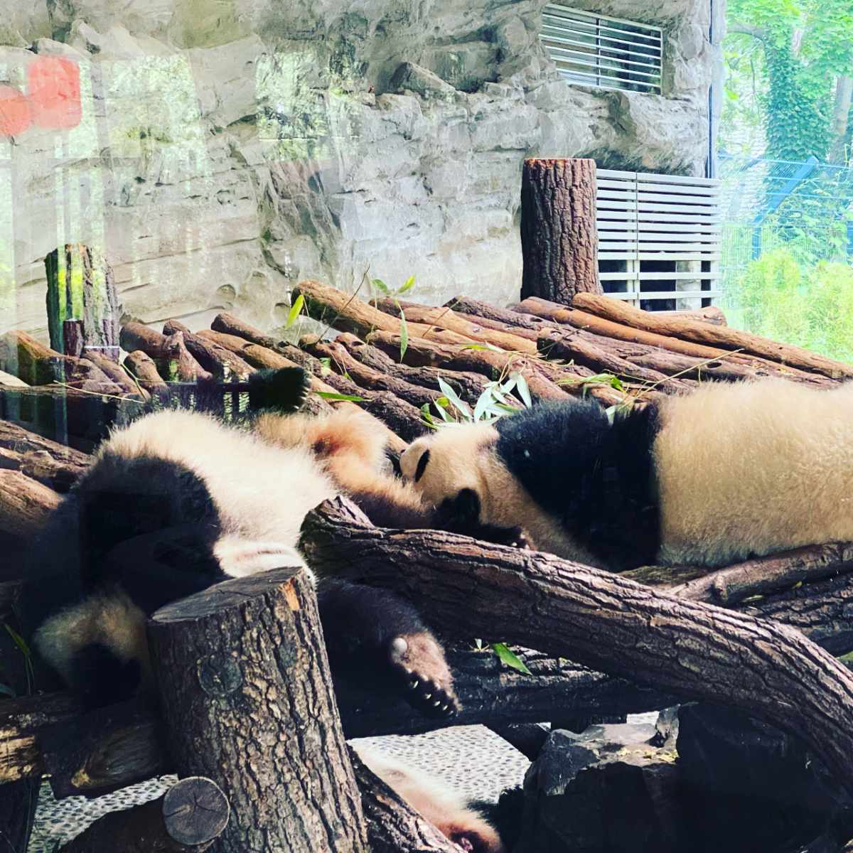 Zoo, Besuch im Berliner Zoo